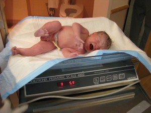 The weigh-in