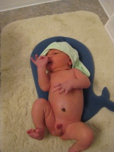 lloydbath